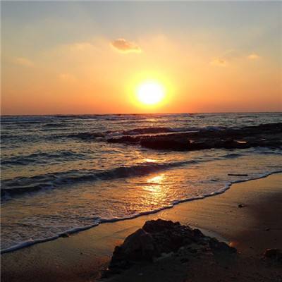 ballbet体育app官网下载