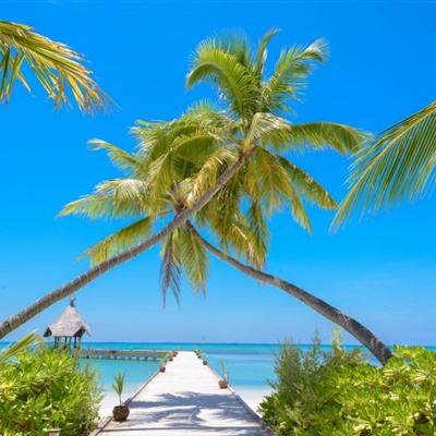 半导综合体育下载