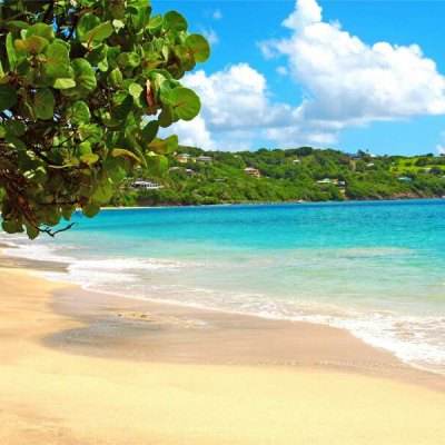 kdpay钱包下载安卓版