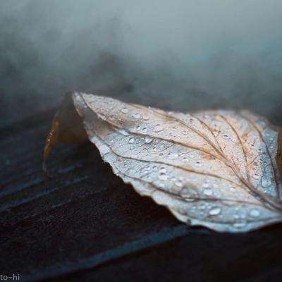 江南APP官方网站登录